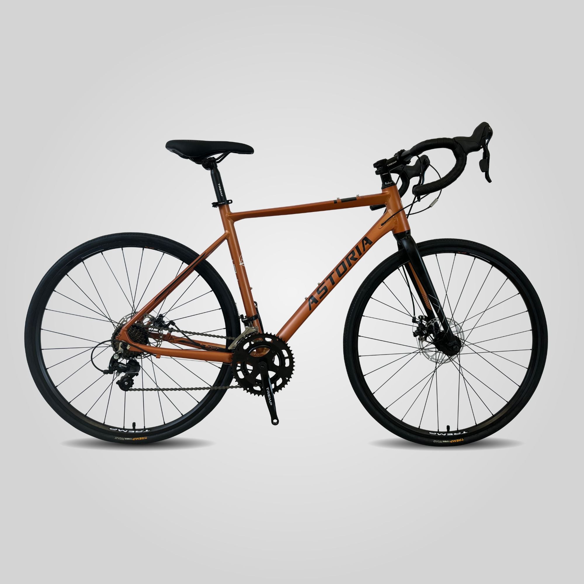 Bicicleta Ruta Astoria X2 Con cambios - Profit Bicycles
