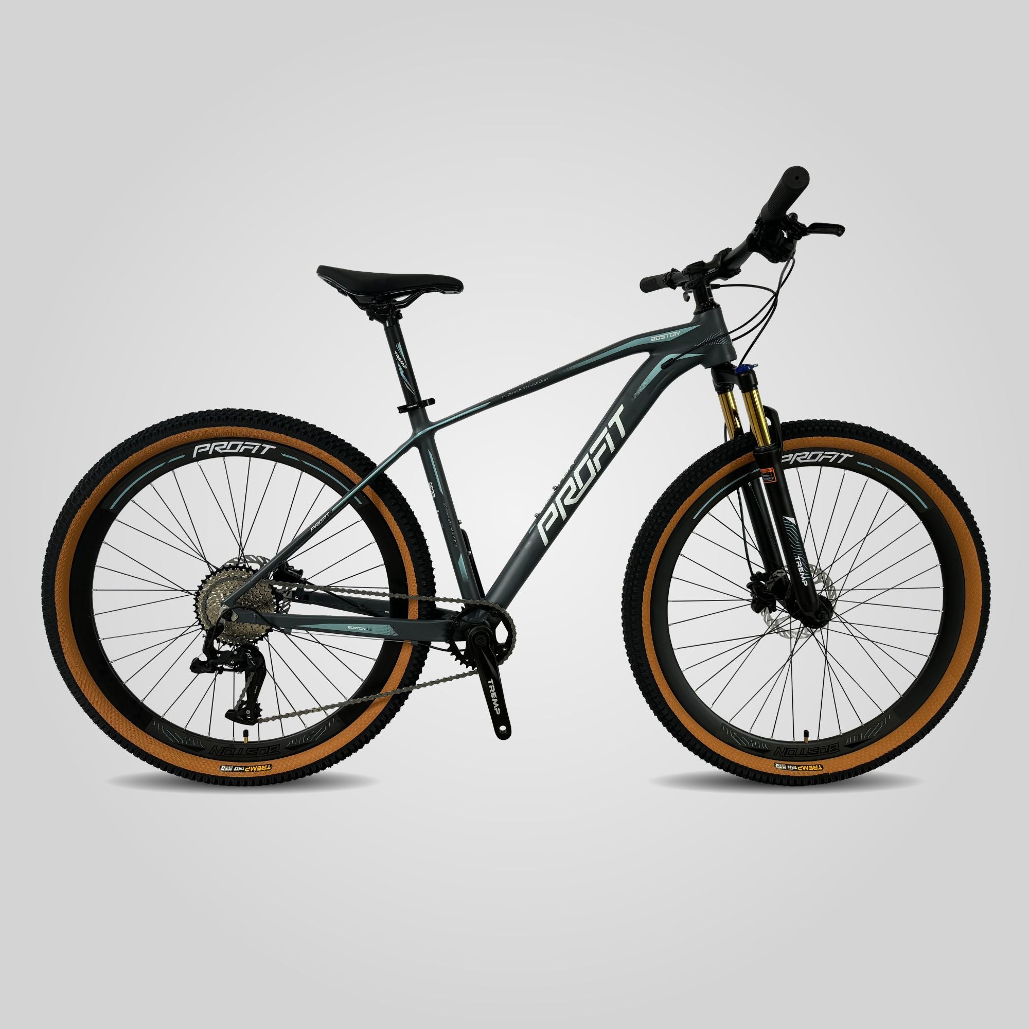 Bicicleta Profit Boston X2 - 10 velocidades M24 - Profit Bicycles