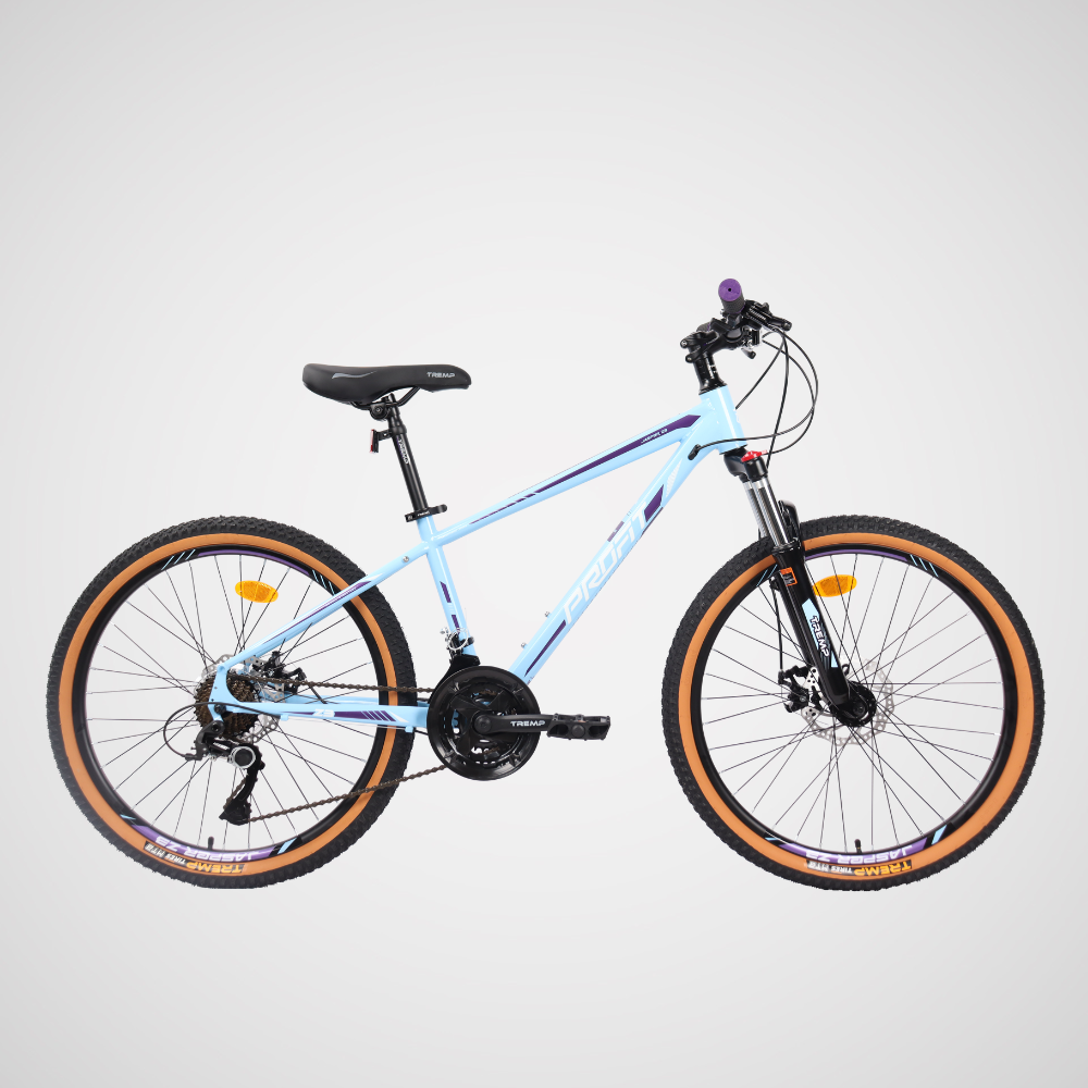 Bicicleta Jasper Z/X3 con 8 velocidades - Profit Bicycles