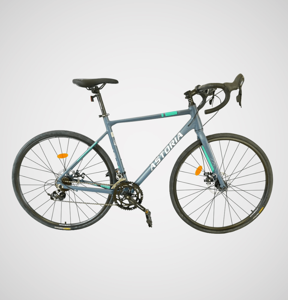 Bicicleta Ruta Astoria 1.1 con Cambios M23 - Profit Bicycles