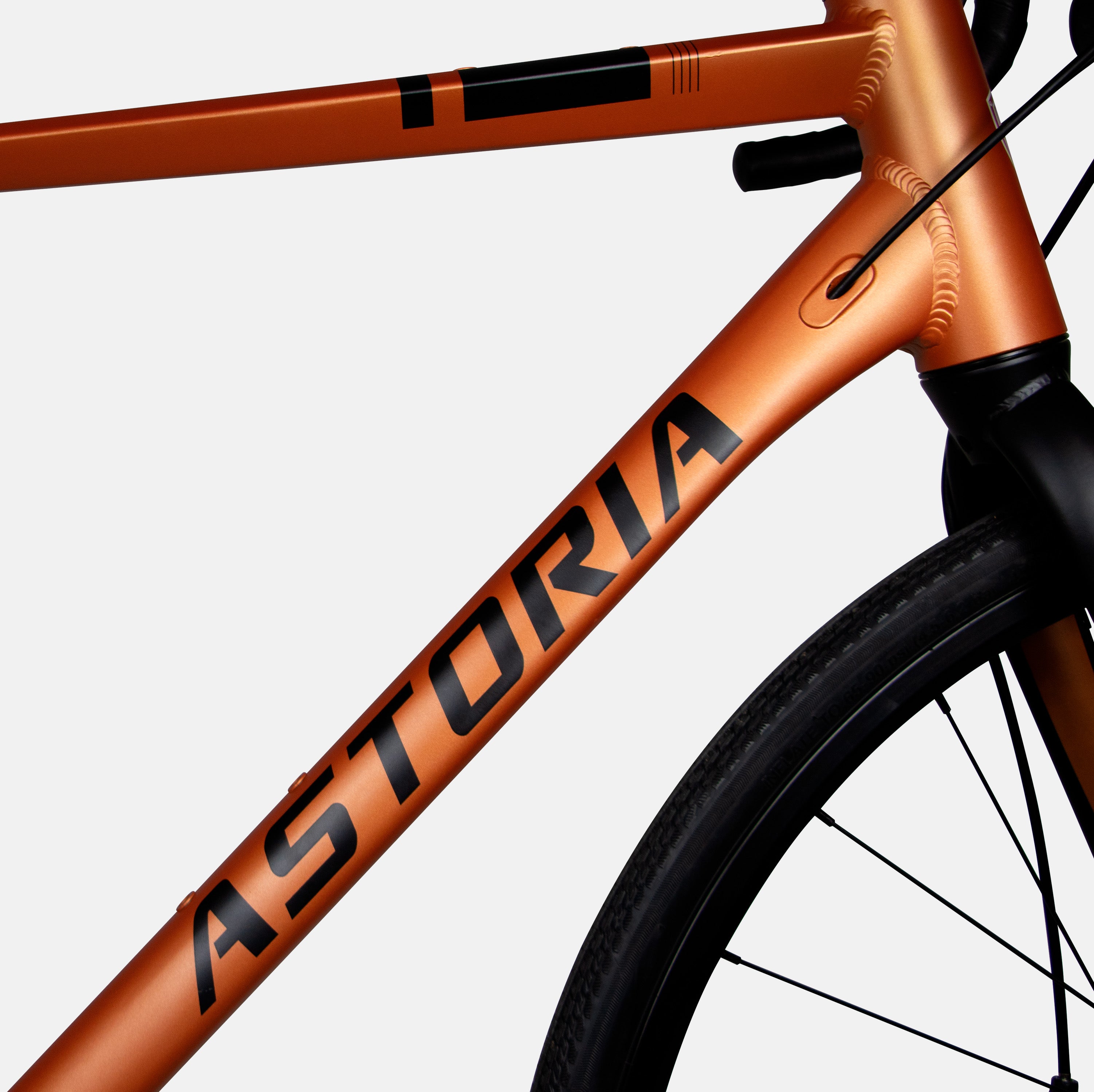 Bicicleta Ruta Astoria 1.1 con Cambios M23 - Profit Bicycles