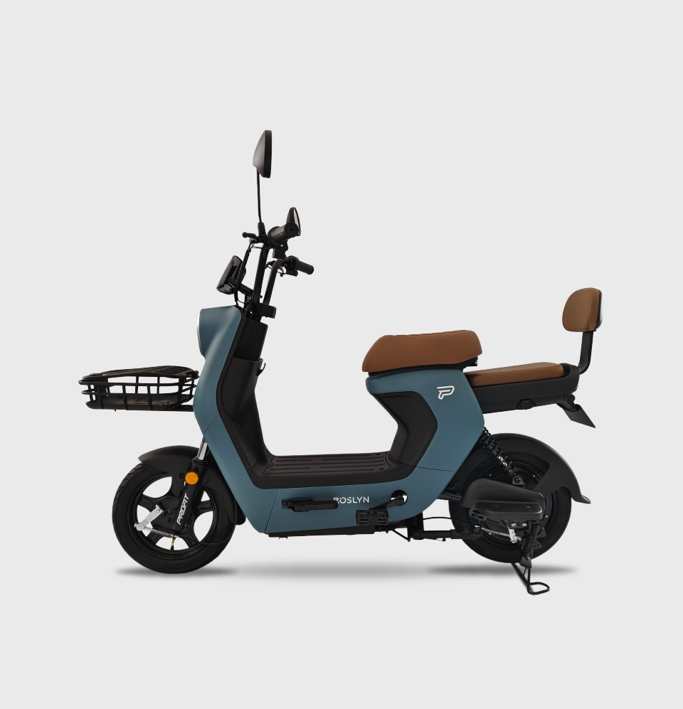 Bicicleta Eléctrica Roslyn