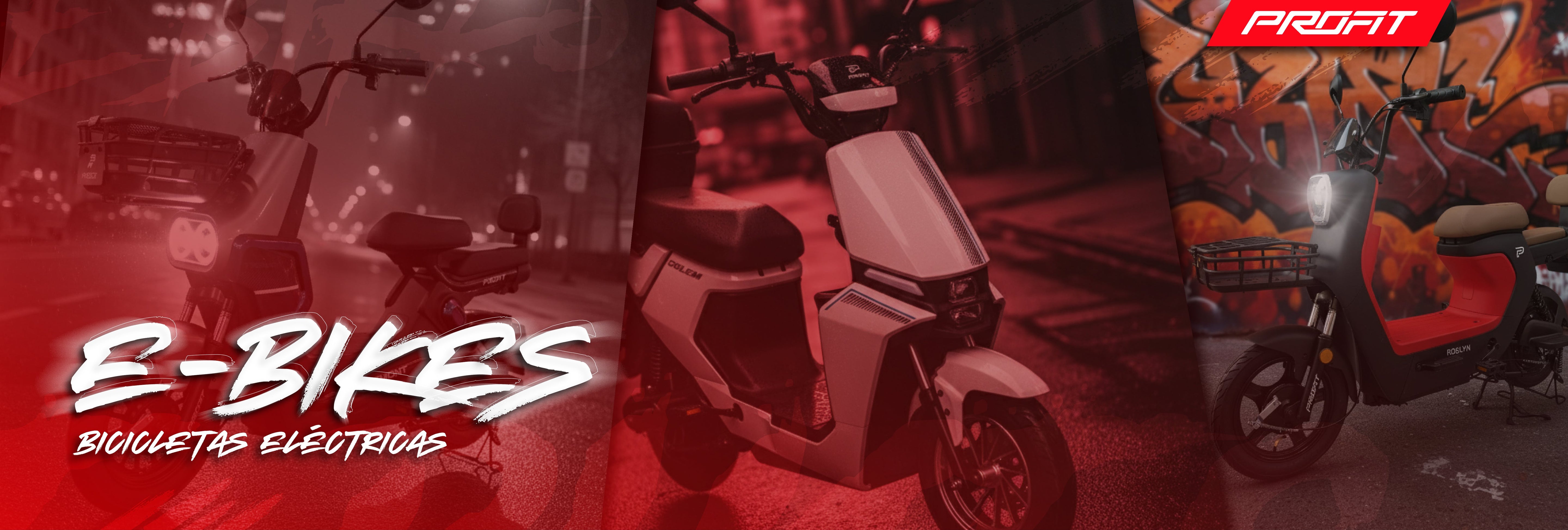 E bike