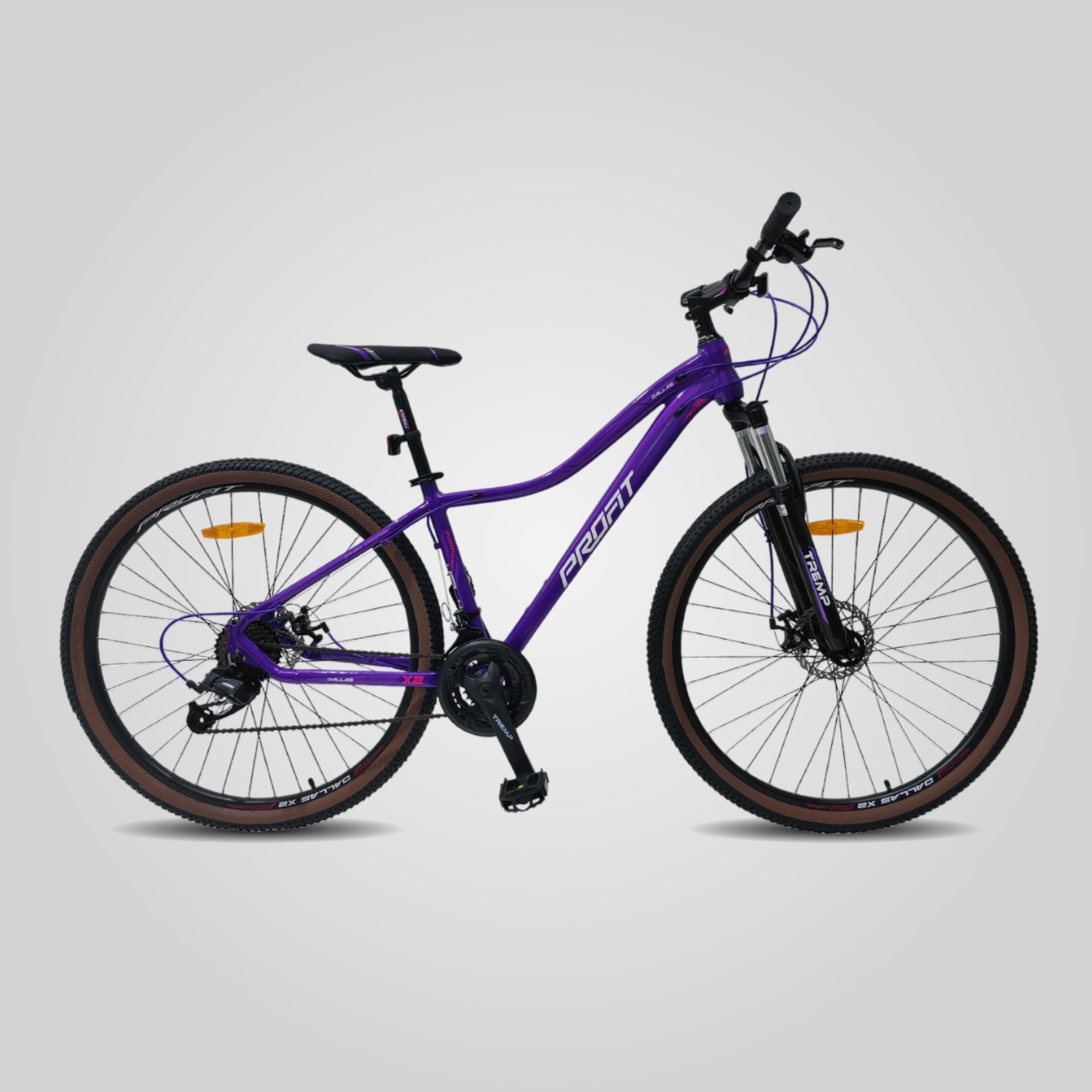 Bicicleta Profit Dallas X2 M24 - Profit Bicycles