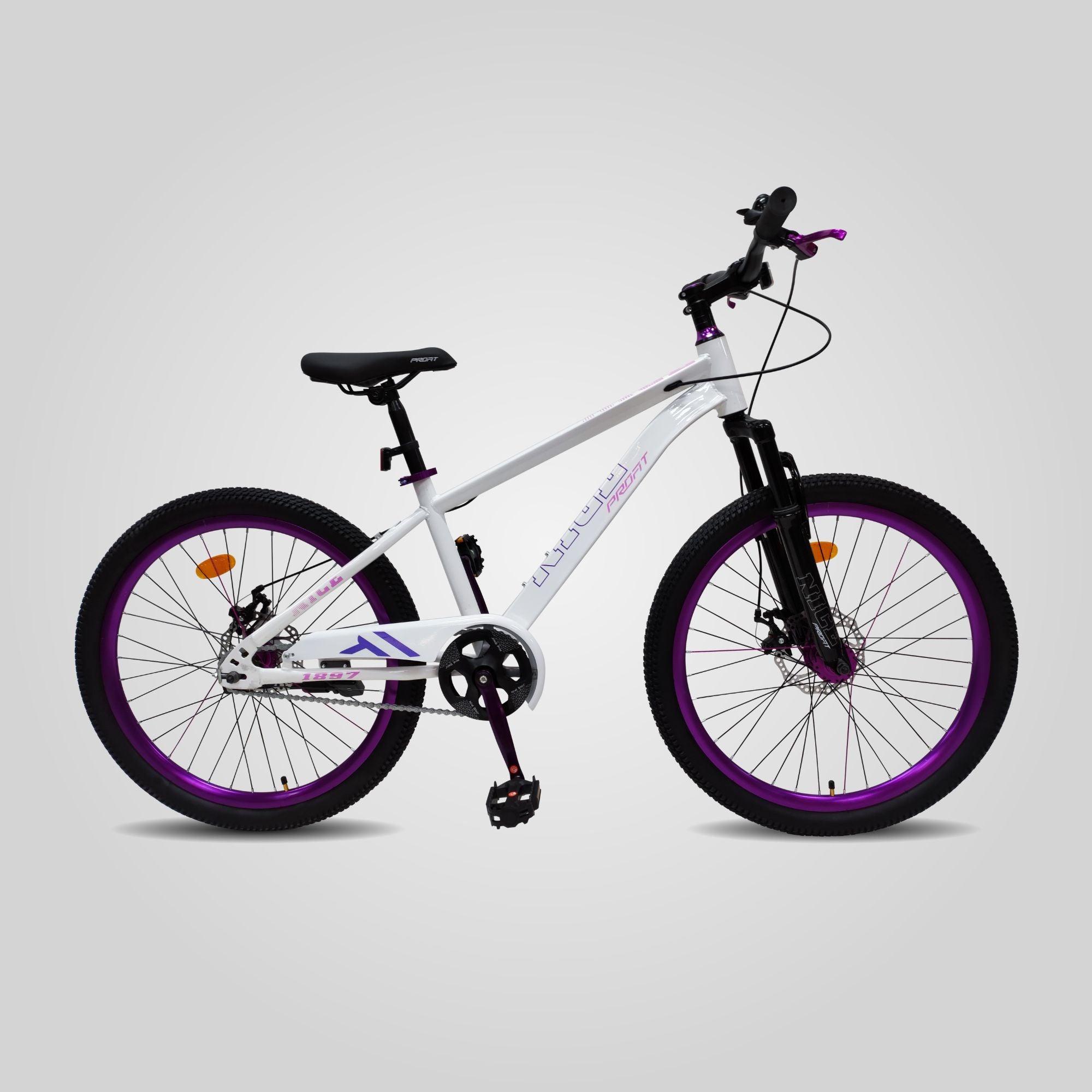 Bicicleta Infantil Nice 1