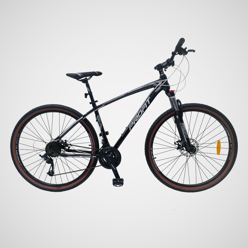 Bicicleta Jasper Z1 con 8 velocidades